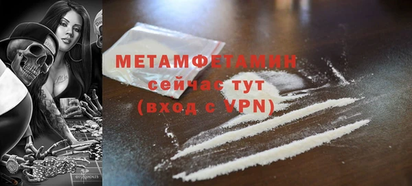 метадон Богданович